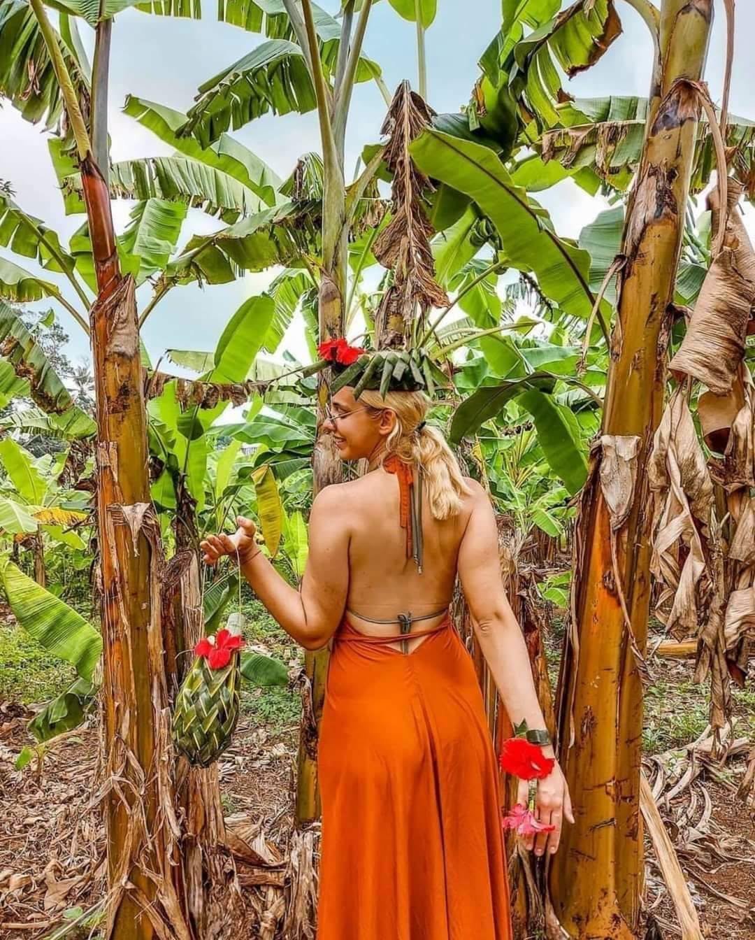 Spice Farm Zanzibar