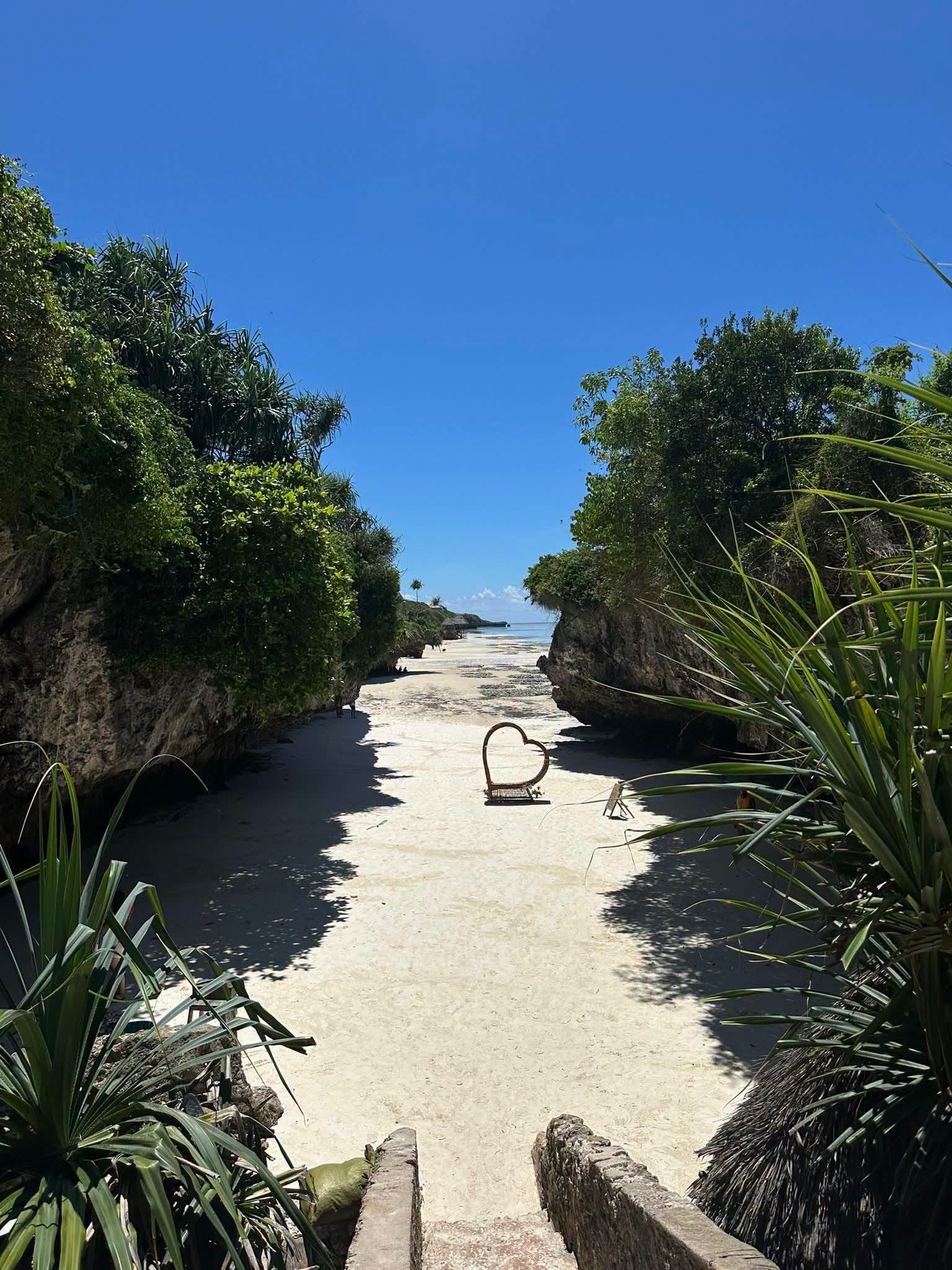 Jozani Zanzibar landscape
